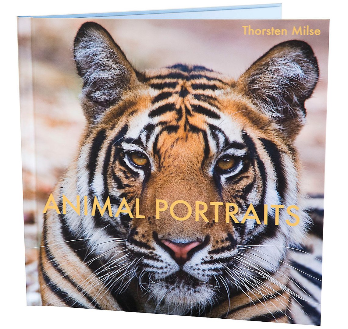 Animal Portraits; neuer Fotobildband