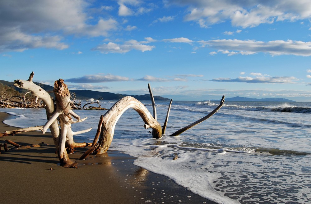 Animali Marini Foto Immagini Paesaggi Mare Natura Foto Su Fotocommunity