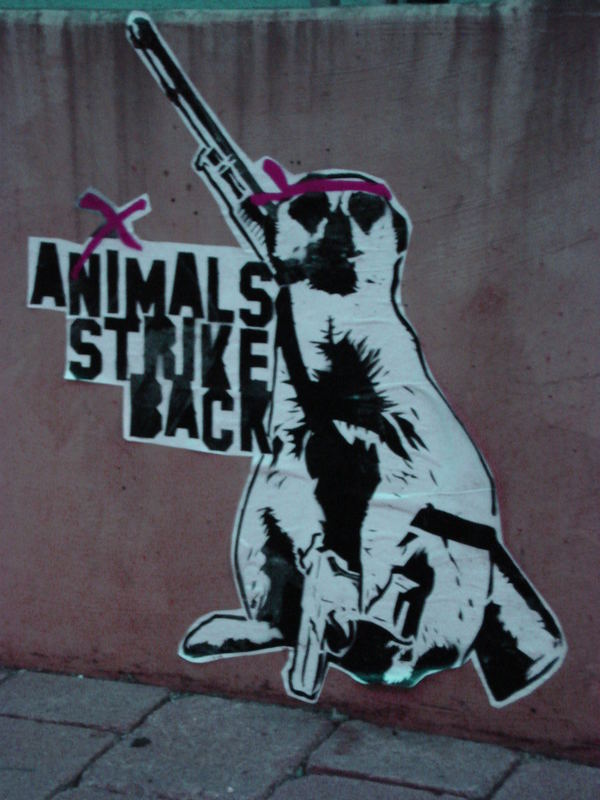 animals strike back!!
