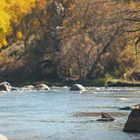 Animas River - Colorado