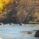 Animas River - Colorado