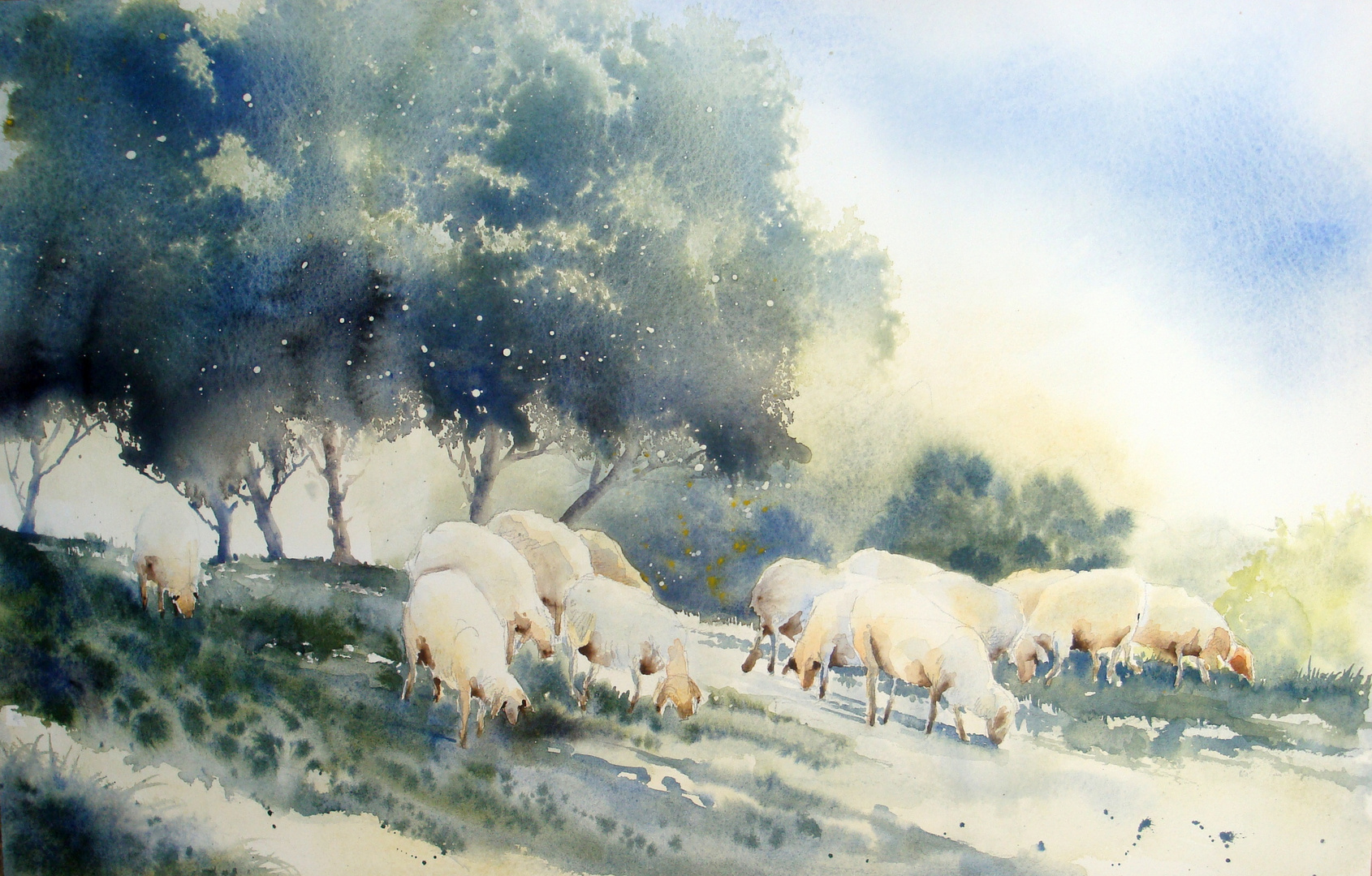 Animaux (3) - Moutons