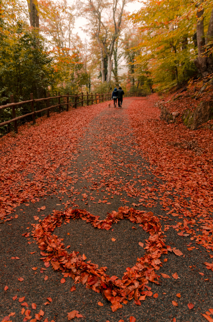 Animi romantici