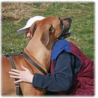 User Profile Photo