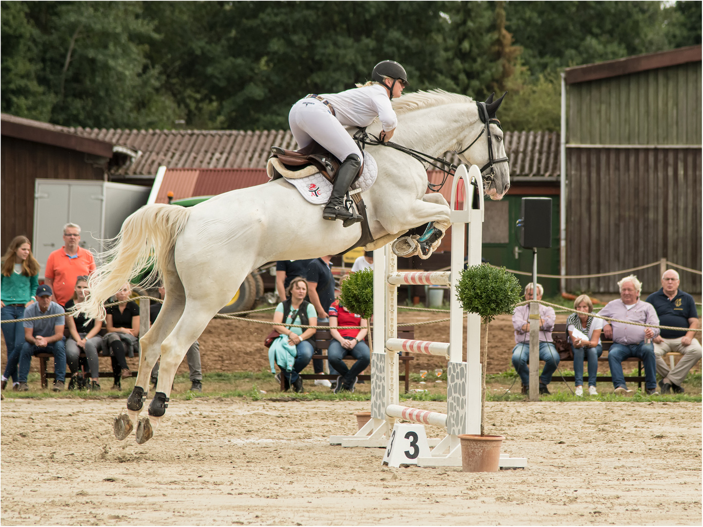 Anja-Sabrina Heinsohn mit ATC's Shantou G