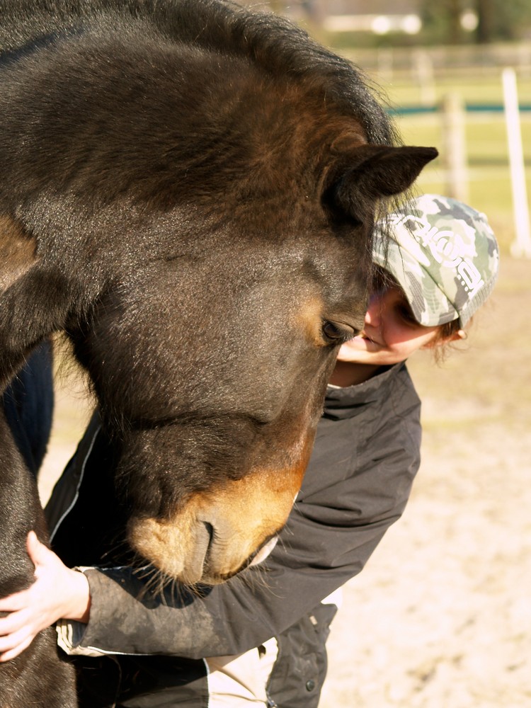 Anke und Piefke 2