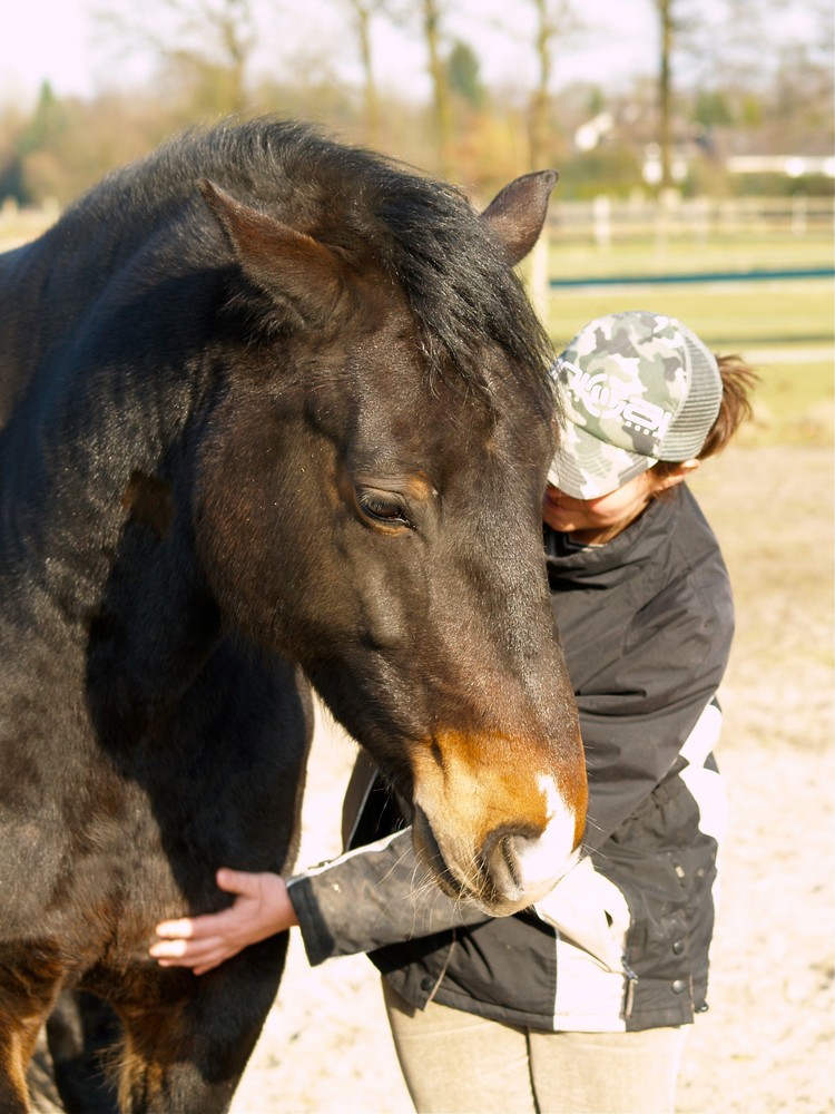 Anke und Piefke 3