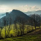 Ankenballen im Herbst