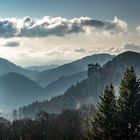 Ankenballen im Streiflicht