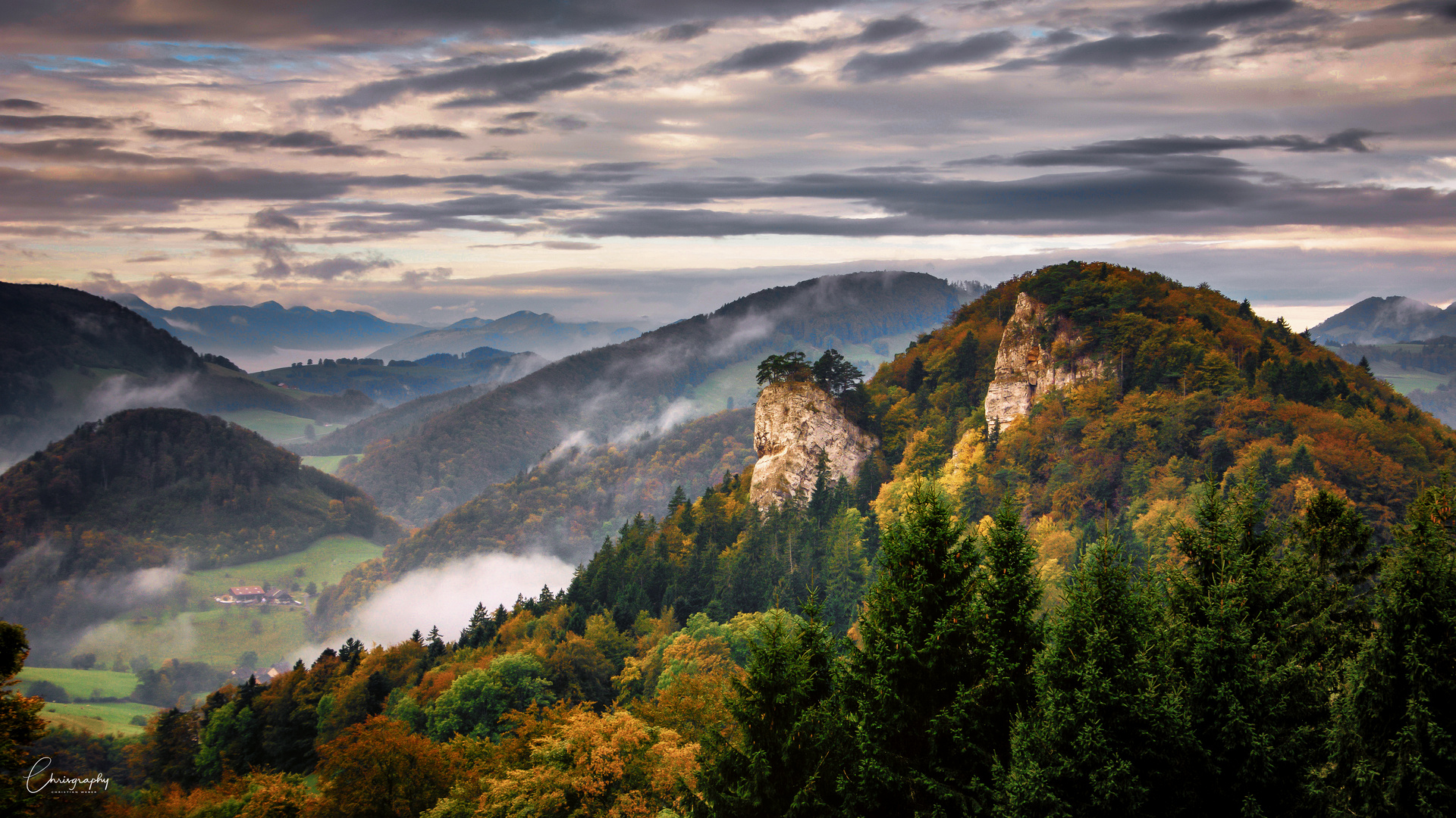 Ankenballen mit Nebel