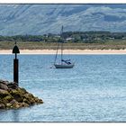 Ankerlieger vor Mullaghmore Harbour