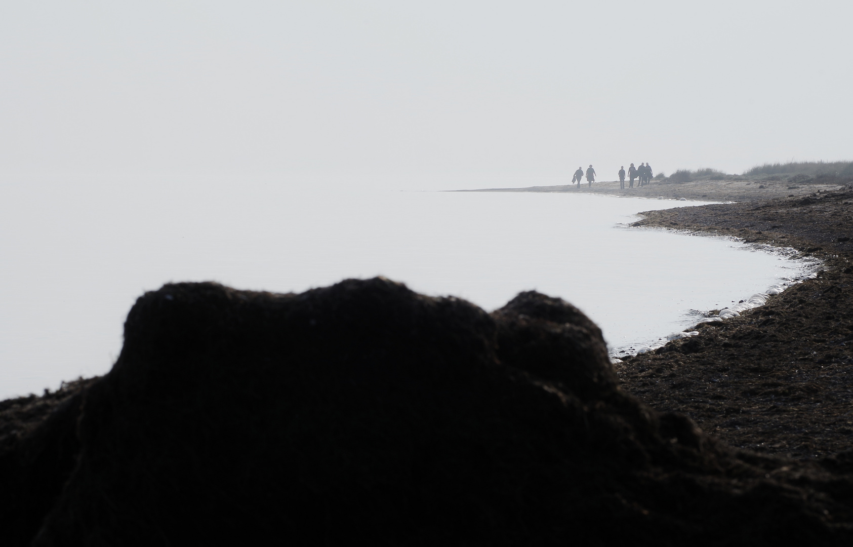 Ankömmlinge am Meer