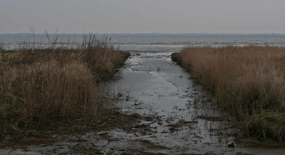 ankommendes Meer