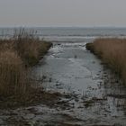 ankommendes Meer