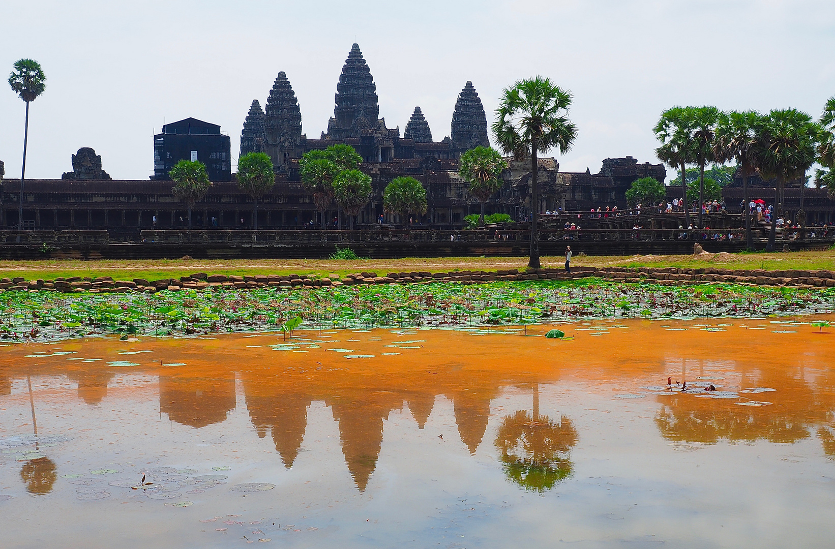 Ankor Wat