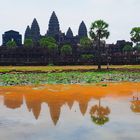 Ankor Wat