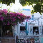 Ankunft auf Amorgos im süssen kleinen Hotel