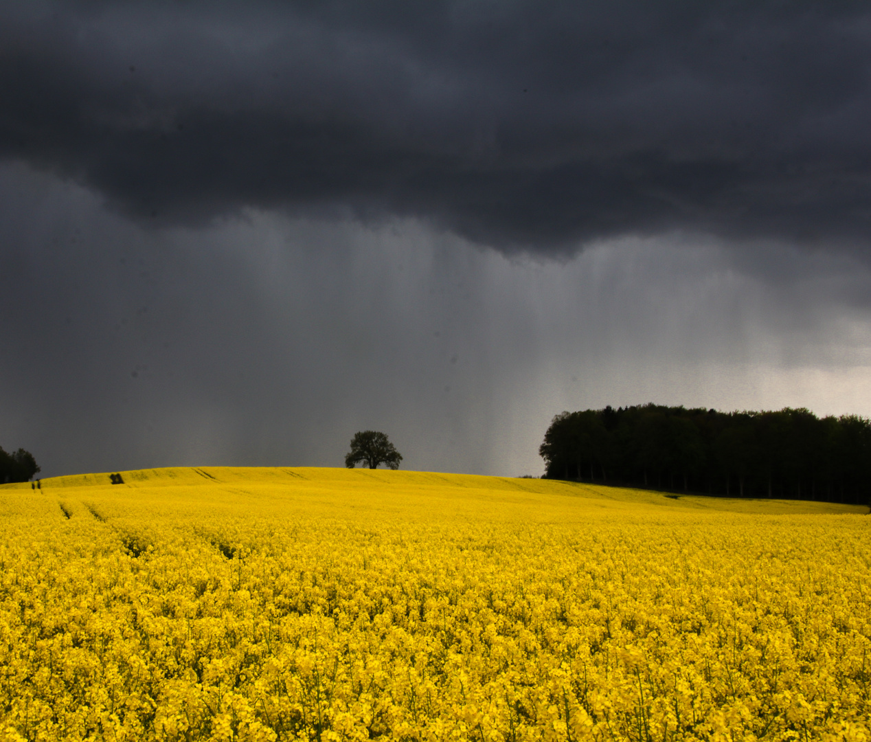 Ankunft der Regenwand