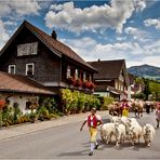 Ankunft in Appenzell