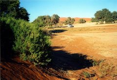 ankunft in der namib - wüste 2004