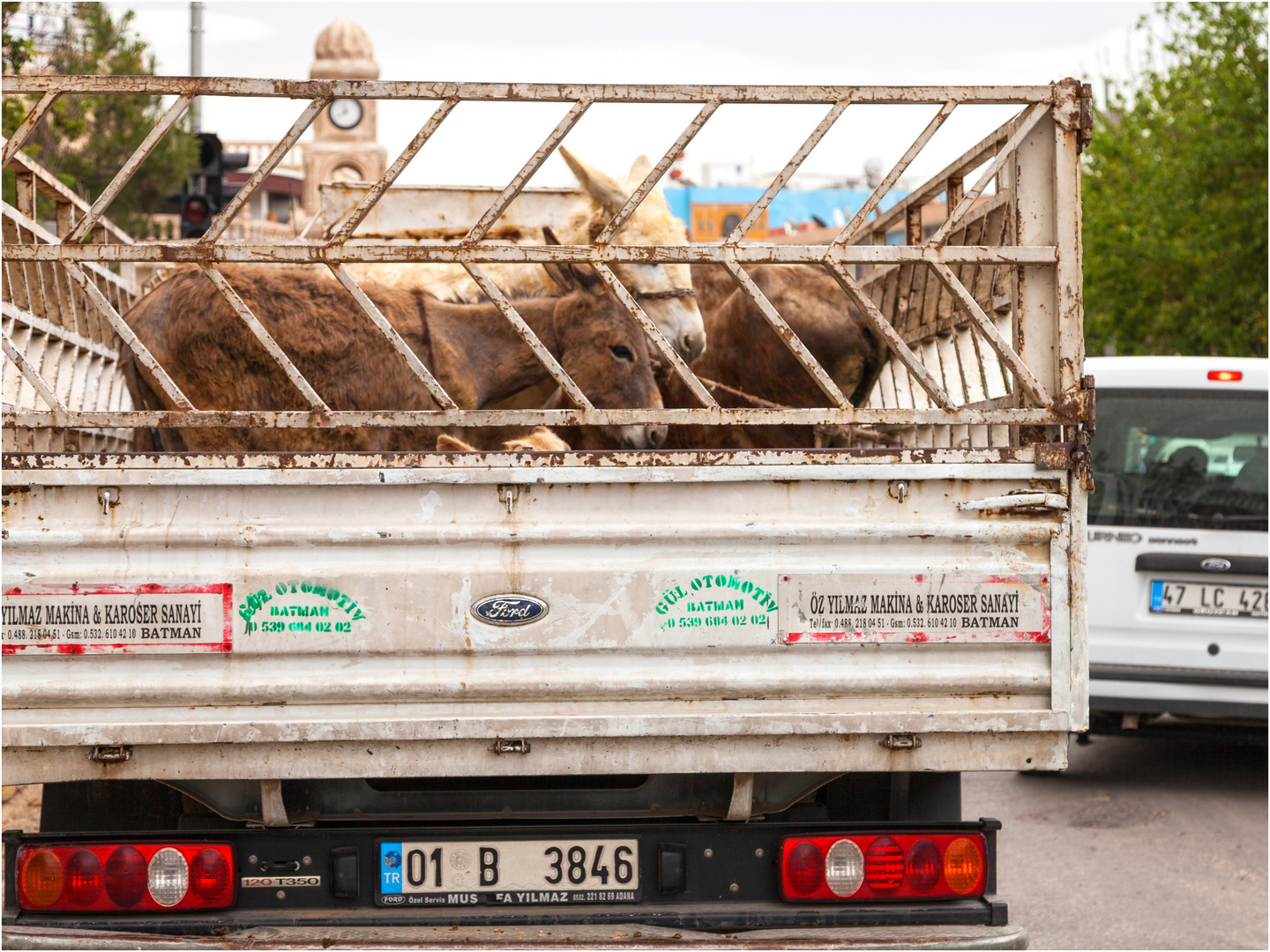 Ankunft in Midyat