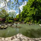 Anlage Japanischer Garten