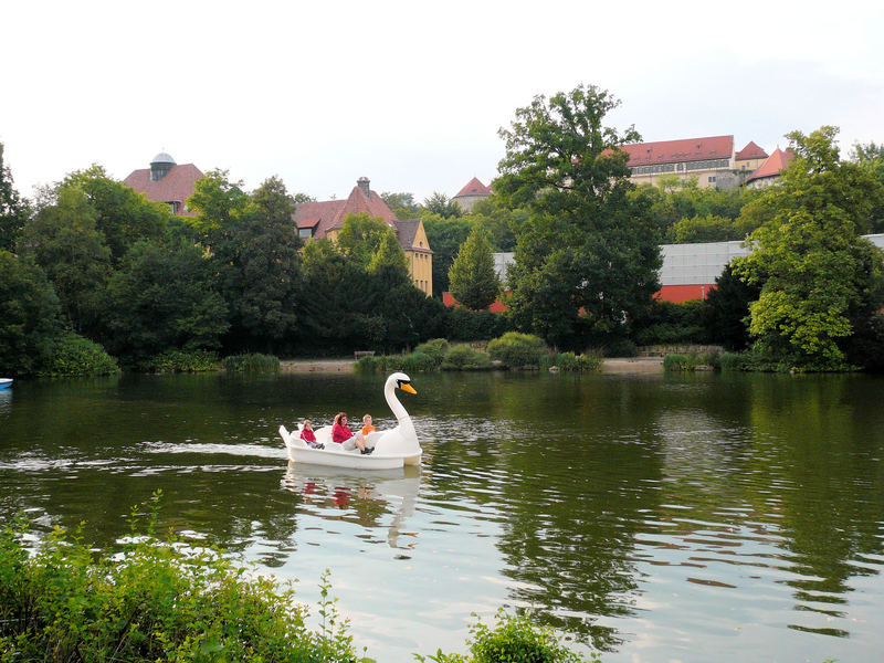 Anlagensee Tübingen - Wann geht der nächste Schwan?