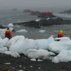 Anlandung auf Gourdin Island 