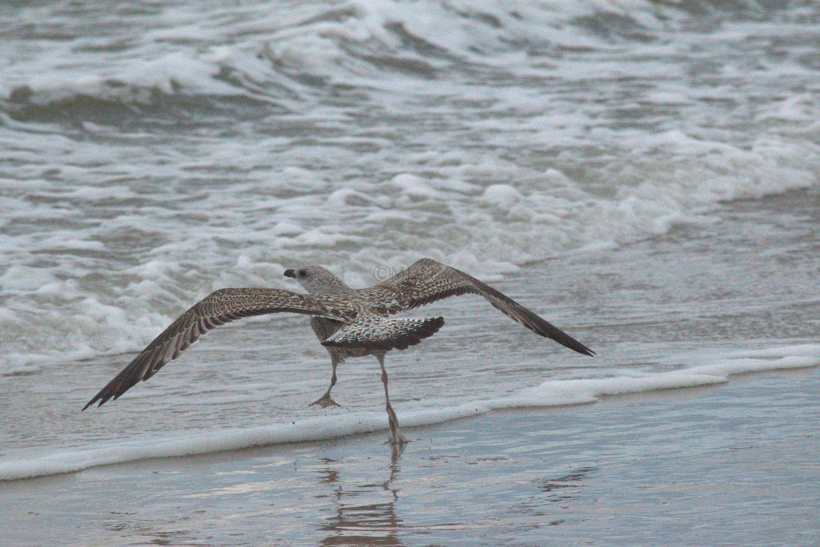 Anlauf und los fliegen