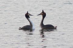 anmache auf dem Wasser......