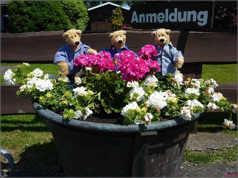 Anmeldung !