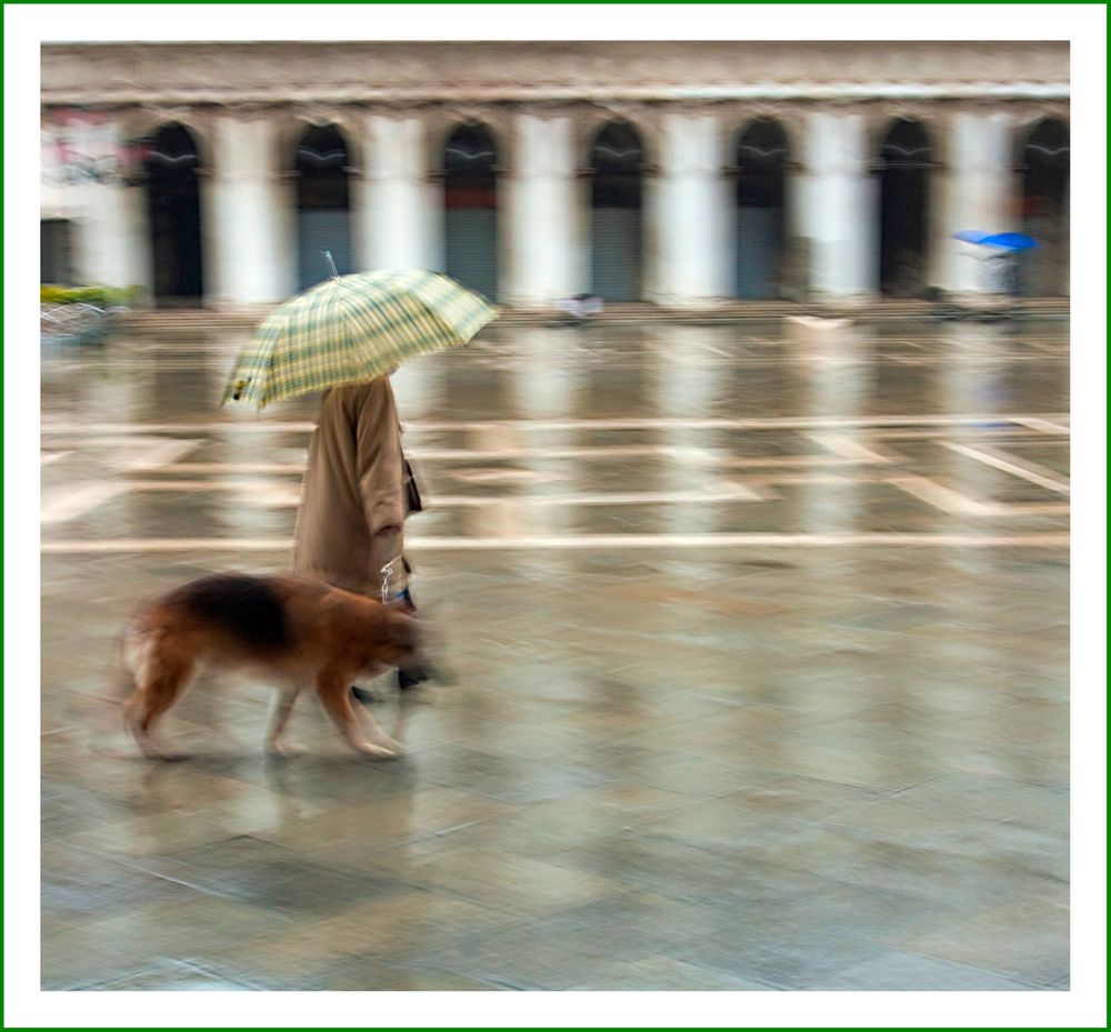 Anna e il lupo von Teodora Ponti 