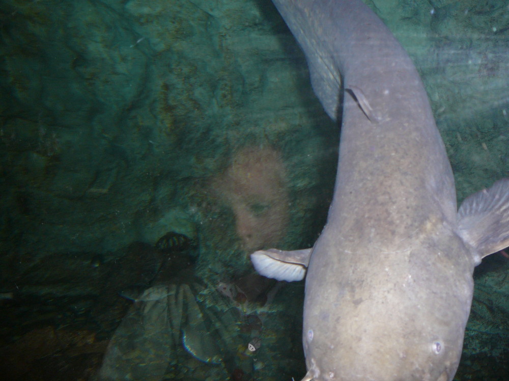 Anna im Aquarium