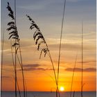 Anna Maria Sunset