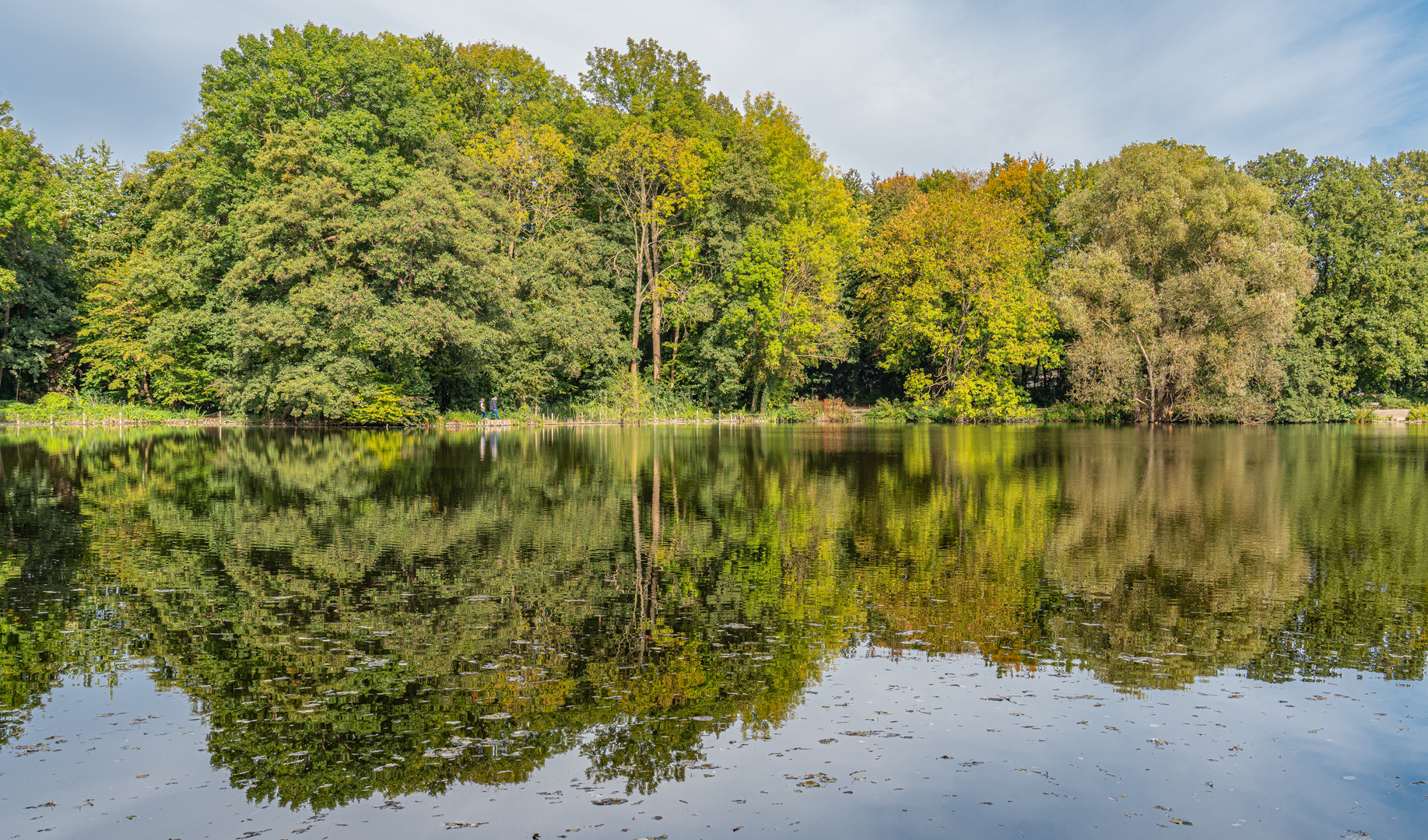 AnnaTeich I HannoverKirchrode Foto & Bild wasser, teich, natur