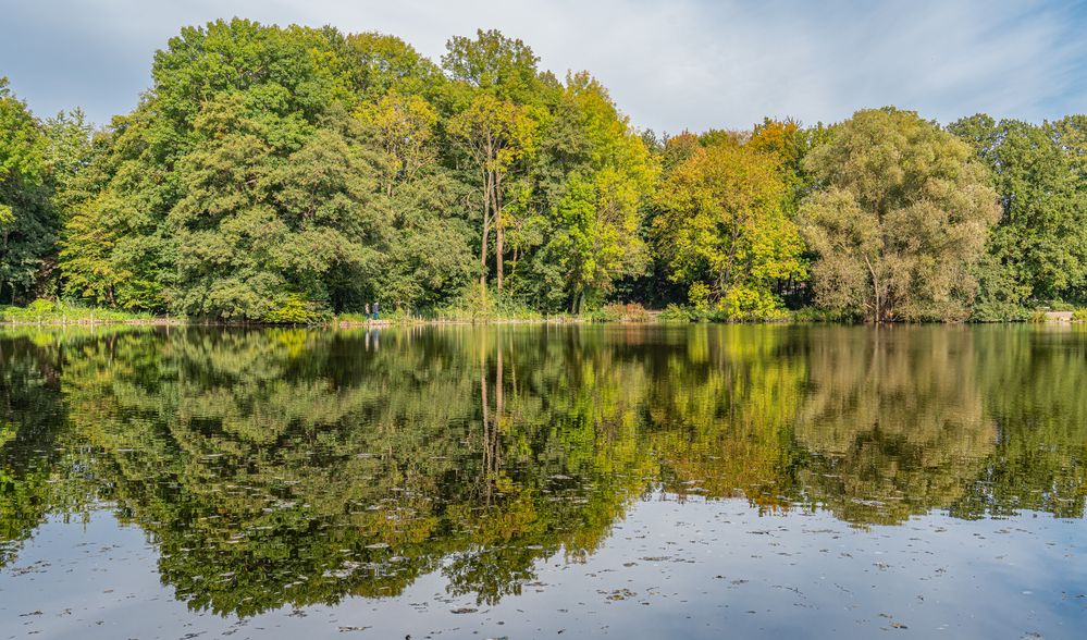 AnnaTeich I HannoverKirchrode Foto & Bild wasser, teich, natur