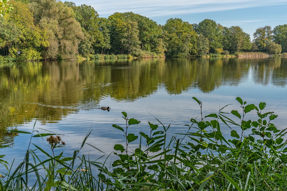 AnnaTeich II HannoverKirchrode Foto & Bild landschaft, bach