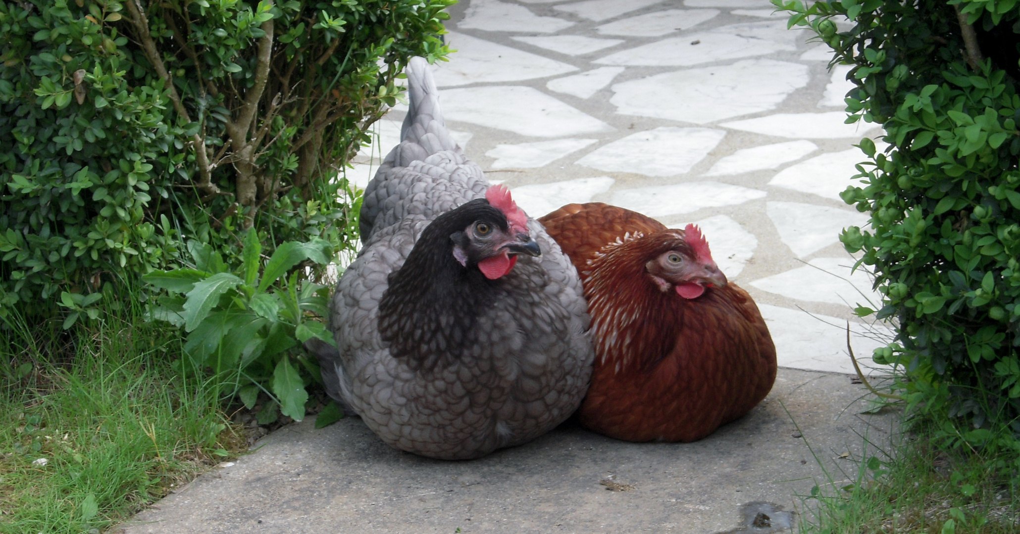 Annabelle et julie a la sieste