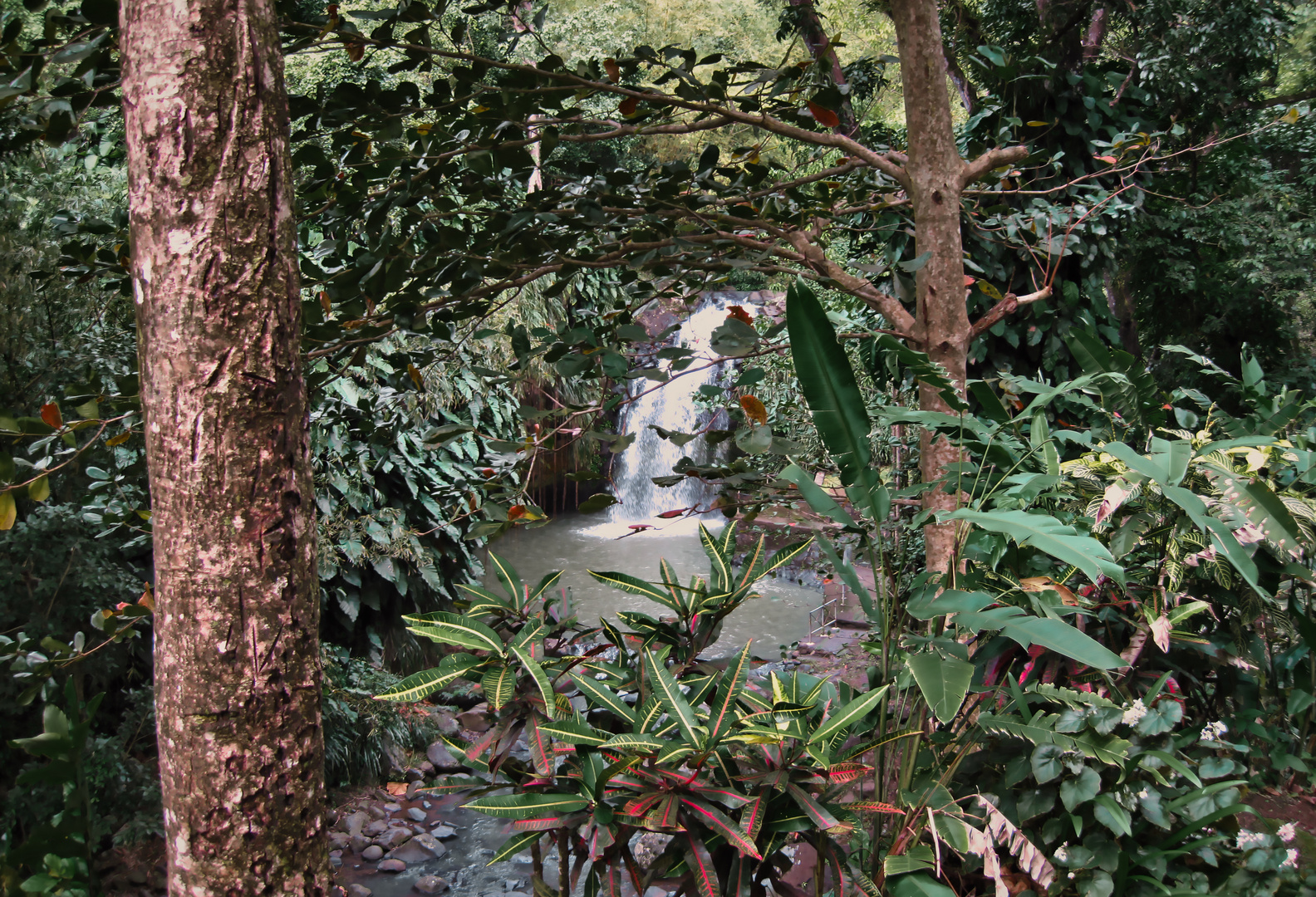 Annandale Waterfall & Forest Park