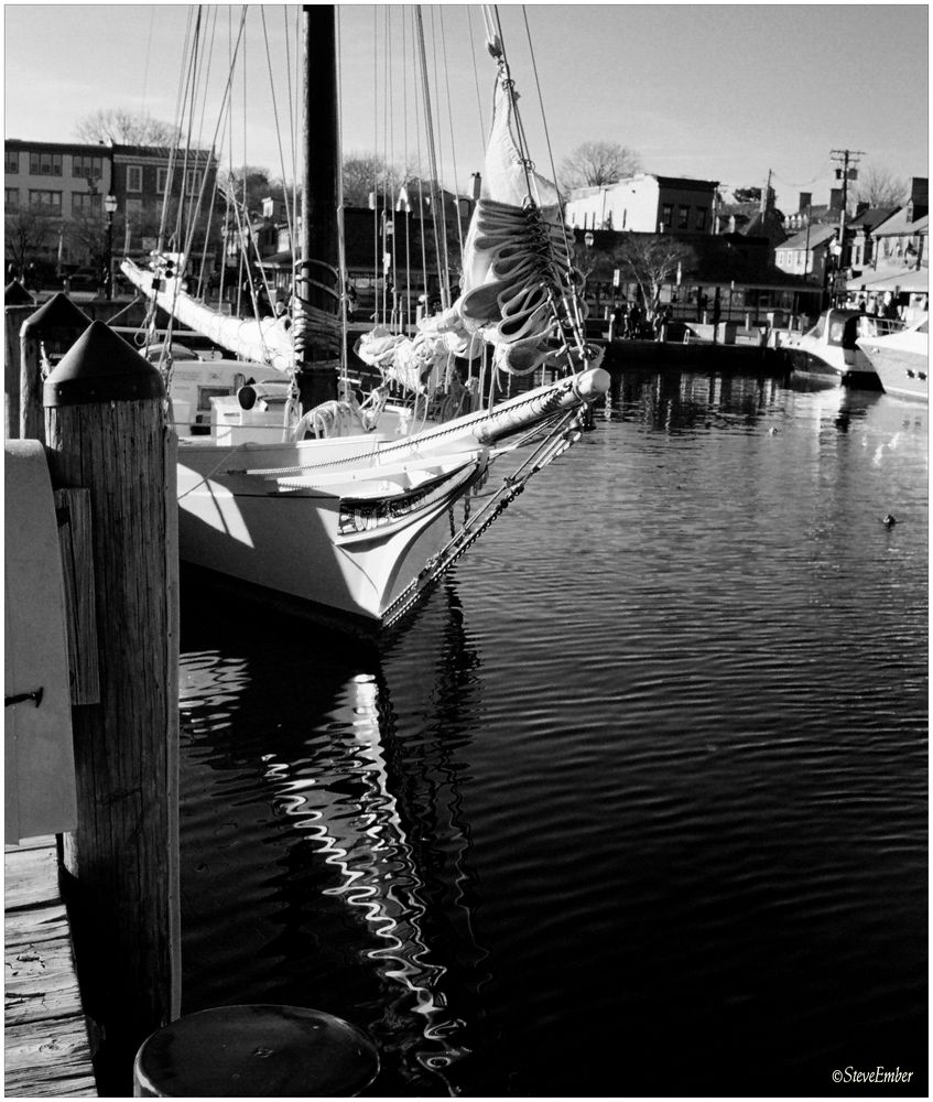 Annapolis No. 11 - The City Dock