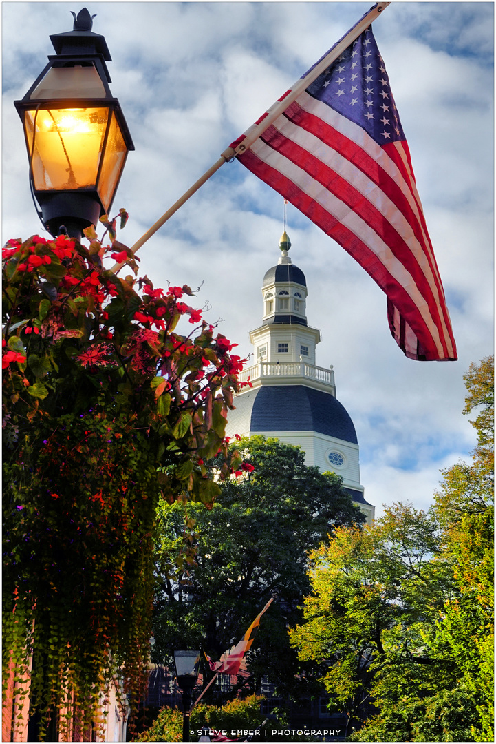 Annapolis No. 31 - State House from Francis Street