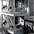 Annapolis No.18 - Balconies in Winter Sun