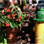 Annapolis No.21 - Flowerpot and Fireplug