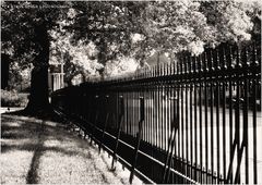 Annapolis Summer - No. 1