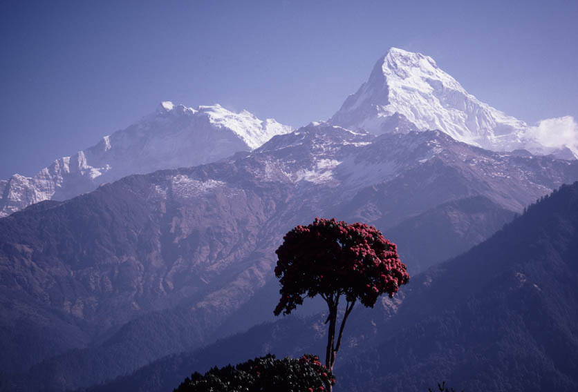 Annapurna