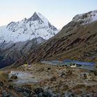 Annapurna Base Camp (4130 m) und Machhapuchre (6997 m)