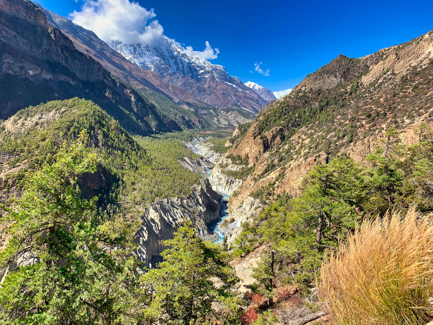 Annapurna Circuit