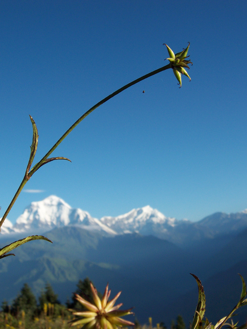 Annapurna I, 8091m