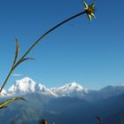 Annapurna I, 8091m