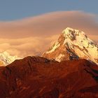 Annapurna im Abendlicht